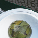 PB180920.JPG