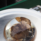 PB180921.JPG