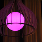 IMG_1568.JPG