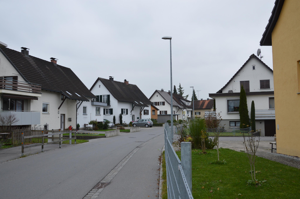 hagenmahd _3_.JPG