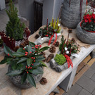 DSC_0004.JPG