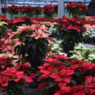DSC_0015.JPG