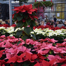 DSC_0016.JPG