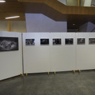 LM der Fotografen