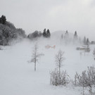 DSC_4600.jpg