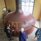 IMG_9857.jpg