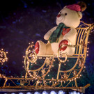Eroeffnung Wiener Christkindlmarkt _90 von 107_.jpg