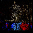 Eroeffnung Wiener Christkindlmarkt _115 von 107_.jpg