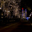 Eroeffnung Wiener Christkindlmarkt _116 von 107_.jpg