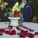 Wiener Rotkreuz Ball 2017  _52 von 294_.jpg