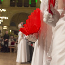 Wiener Rotkreuz Ball 2017  _68 von 294_.jpg
