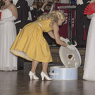 Wiener Rotkreuz Ball 2017  _85 von 294_.jpg
