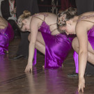 Wiener Rotkreuz Ball 2017  _111 von 294_.jpg