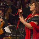 Wiener Rotkreuz Ball 2017  _222 von 294_.jpg