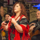 Wiener Rotkreuz Ball 2017  _226 von 294_.jpg