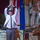 Wiener Rotkreuz Ball 2017  _257 von 294_.jpg