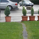 November 21 007.JPG
