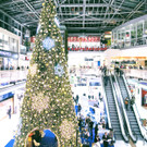 Weihnachtsauftakt am 24_.jpg