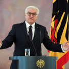 Steinmeier trifft Parteichefs