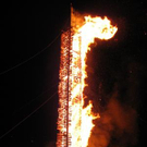 750254.jpg