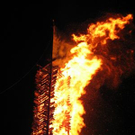 750255.jpg