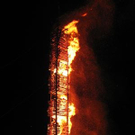 750260.jpg