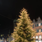 Christbaum-familieplus-Langenegg-Bregenzer-Christkindlmarkt-Baum.jpg