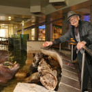 Patenschaft und neues Außenbecken für die Flusspferde im Tiergarten Schönbrunn