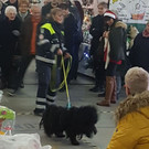 StockAdventz001.jpg