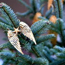 Meldungsliste_22__10.jpg