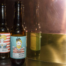 Oesterreich hat eine neue Brauerei  _37 von 83_.jpg
