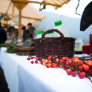 SM_04381 _Medium_.jpg