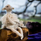 SM_04394 _Medium_.jpg