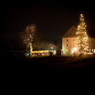 SM_04427 _Medium_.jpg