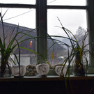 DSC_0347.JPG