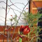 DSC_0475.JPG
