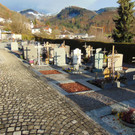 DSC05366.JPG