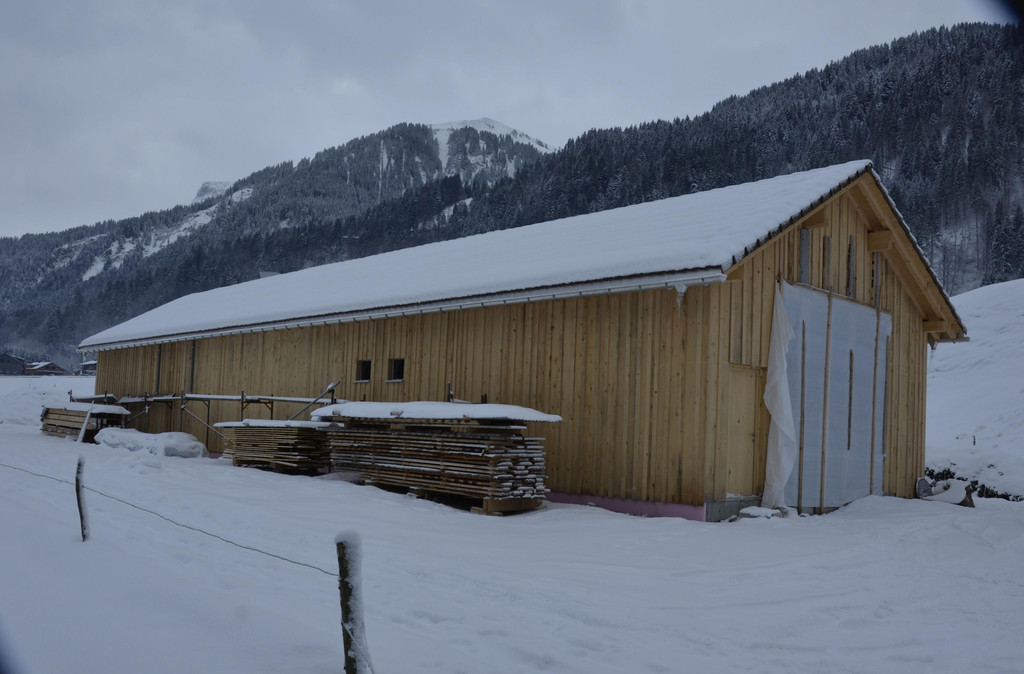 _DSC0478_1_.jpg