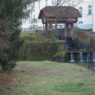 PB227017.JPG