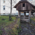 PB227023.JPG