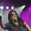 ABD0133-20171127.jpg