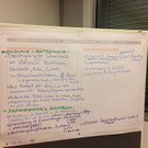 Zukunftswerkstatt_40.JPG