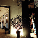 Creau Advent Foto Anna Schwab.jpg