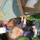 IMG_2172.JPG
