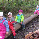 IMG_2432.JPG