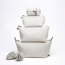 12 - said the fox.jpg