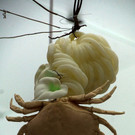 DSC05082 Kopie.jpg