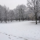 IMG_9680.JPG