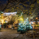 Le Jardin Wintermarkt Stadtpark EMMOTIONS Mautner Markhof _6_.jpg