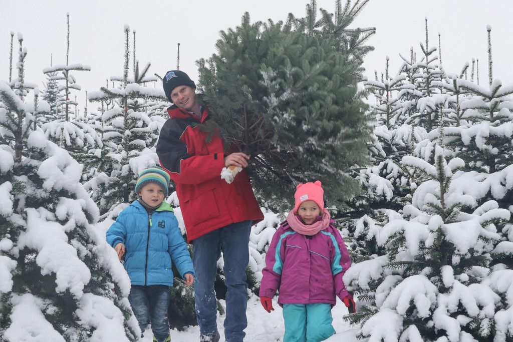 Christbaum20171130033.jpg